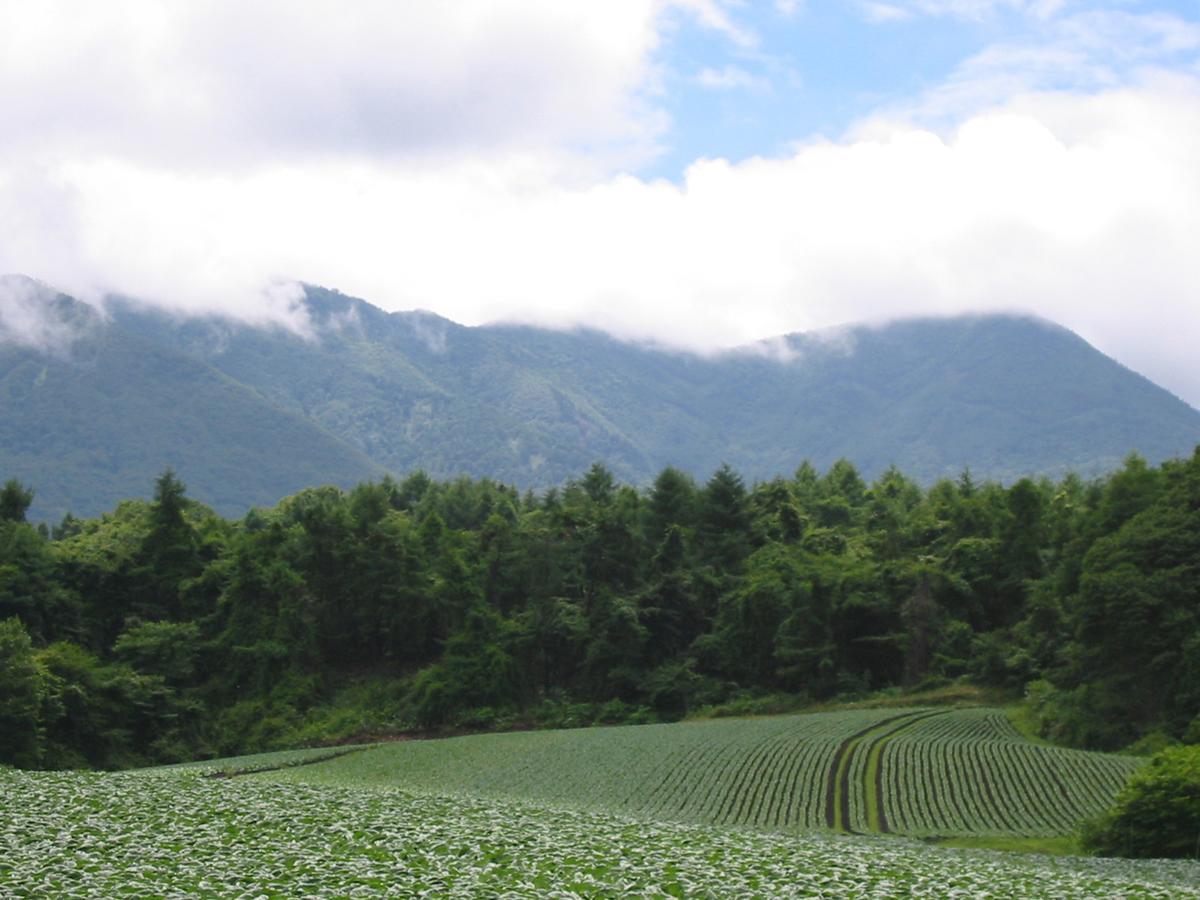 Le Grand Kyu Karuizawa Hotell Eksteriør bilde