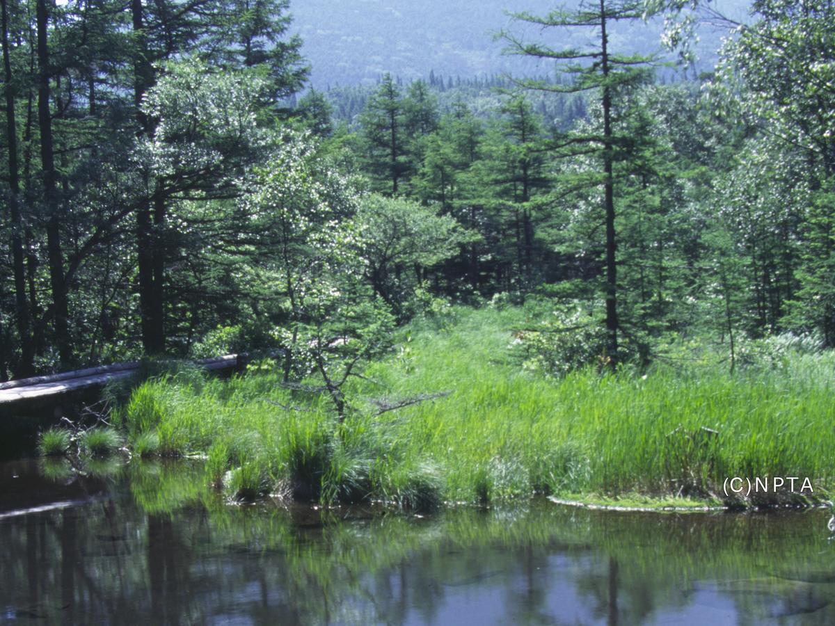 Le Grand Kyu Karuizawa Hotell Eksteriør bilde